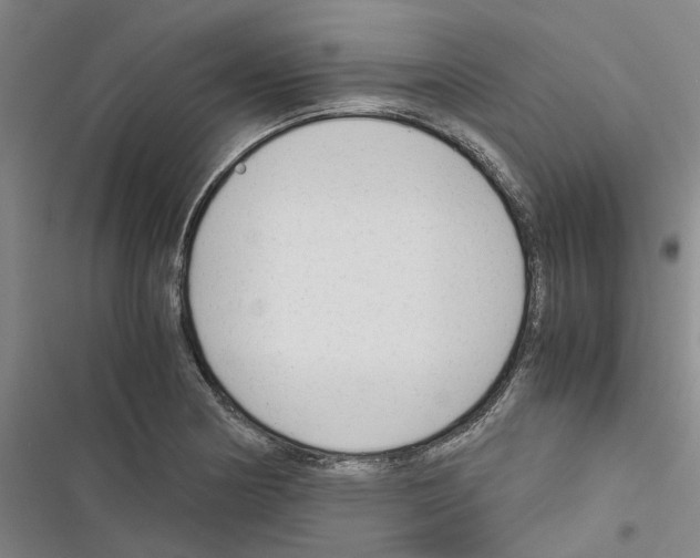 X0000116371178201001131741