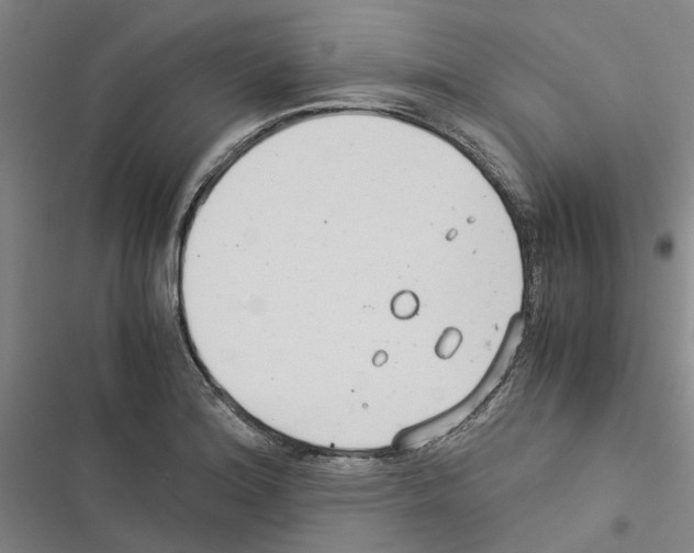 X0000116371180201001131741