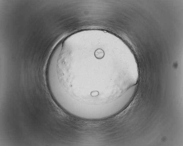 X0000116371181201001131741