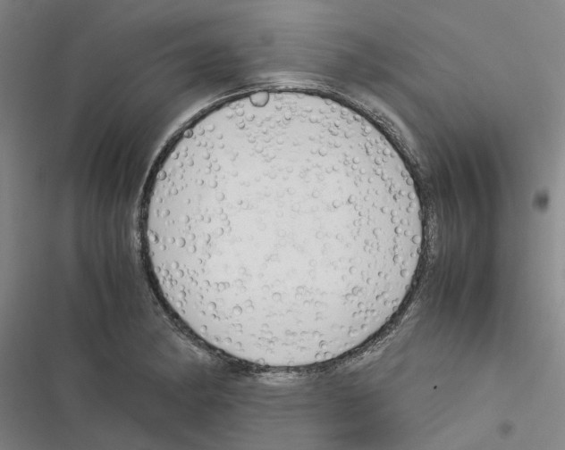 X0000116371182201001131741