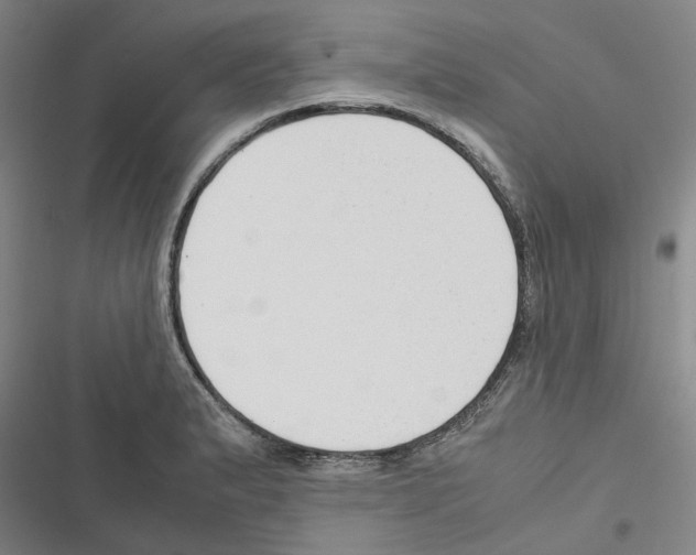 X0000116371183201001131741