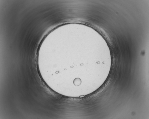 X0000116371184201001131741