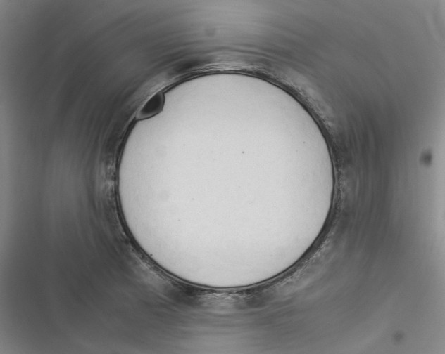 X0000116371185201001131741