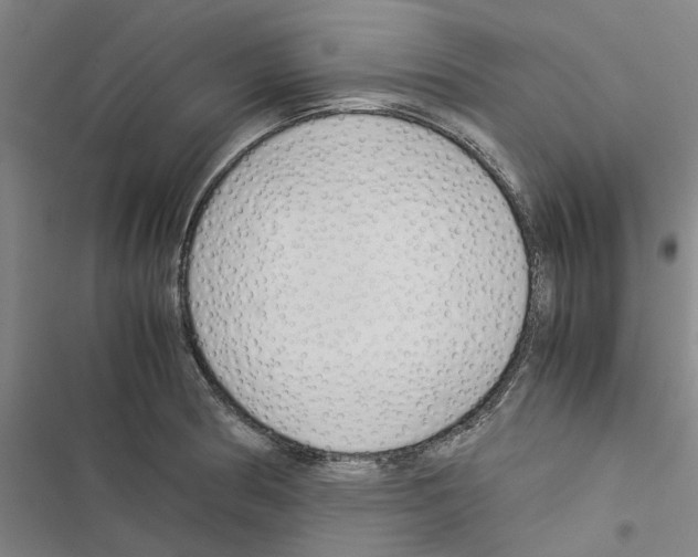 X0000116371186201001131741