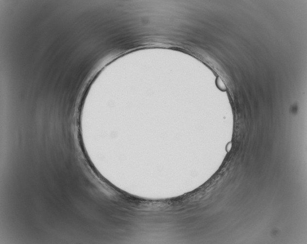 X0000116371187201001131741