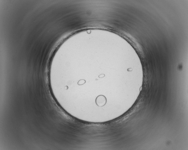 X0000116371188201001131741