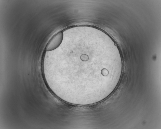 X0000116371189201001131741