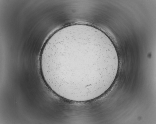 X0000116371190201001131741