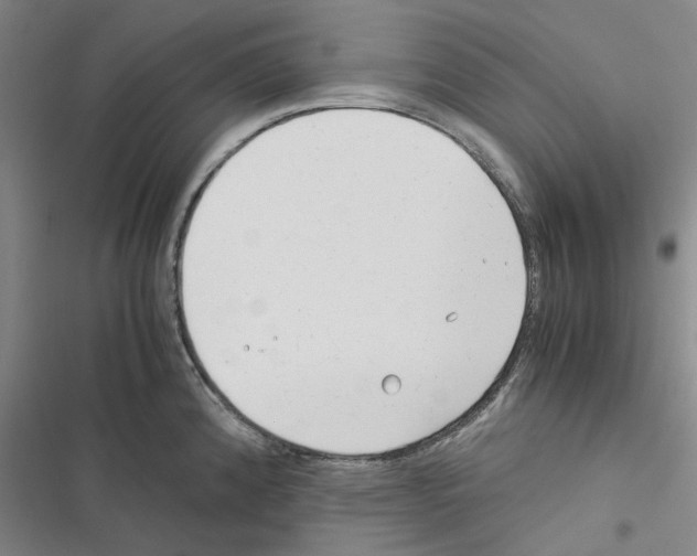 X0000116371192201001131741