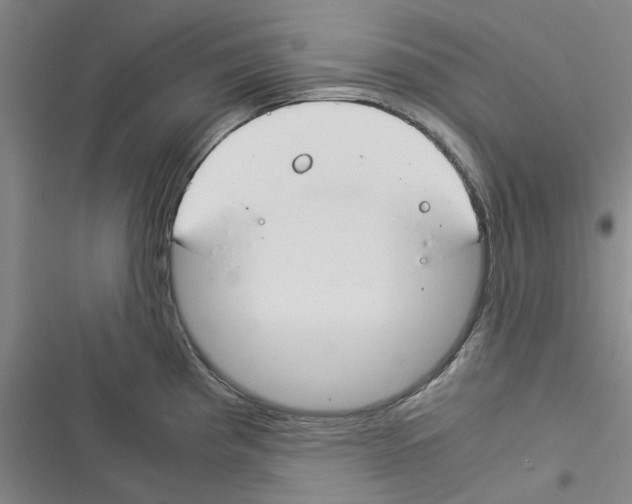 X0000116371193201001131741