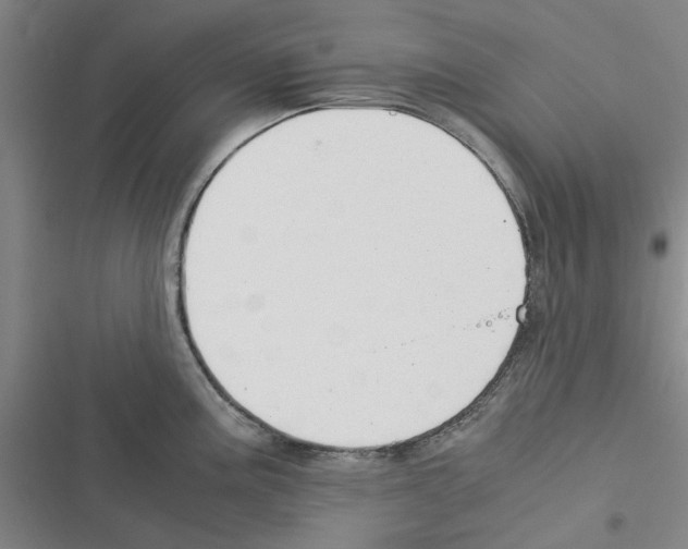 X0000116371195201001131741