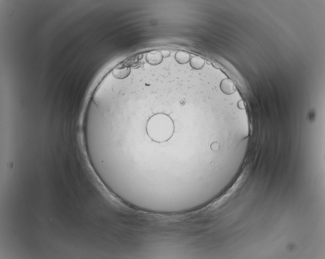 X0000116371196201001131741