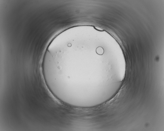 X0000116371197201001131741