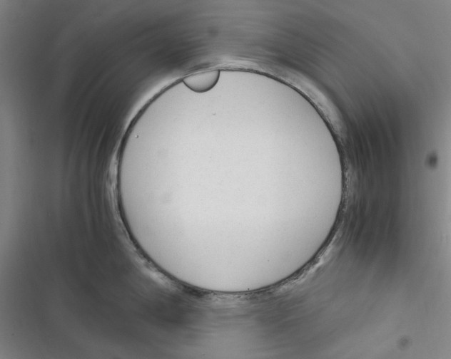 X0000116371198201001131741