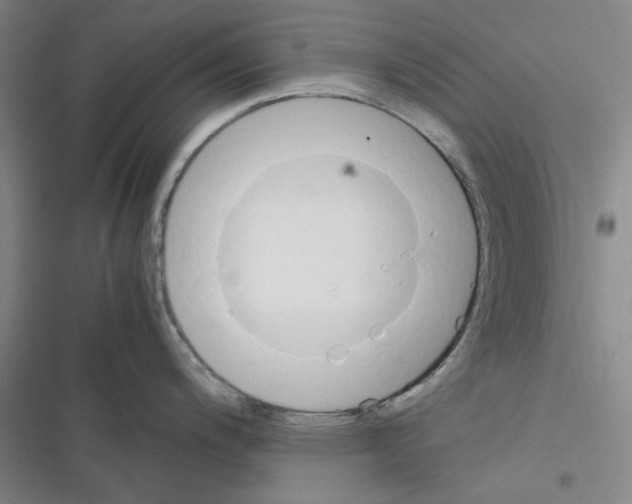 X0000116371200201001131741