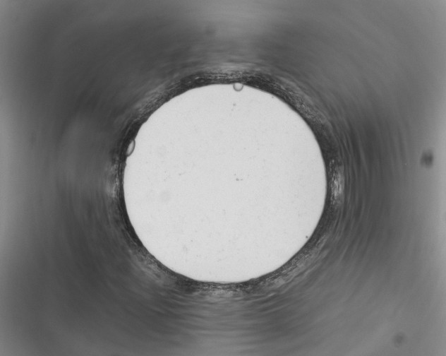 X0000116371204201001131740