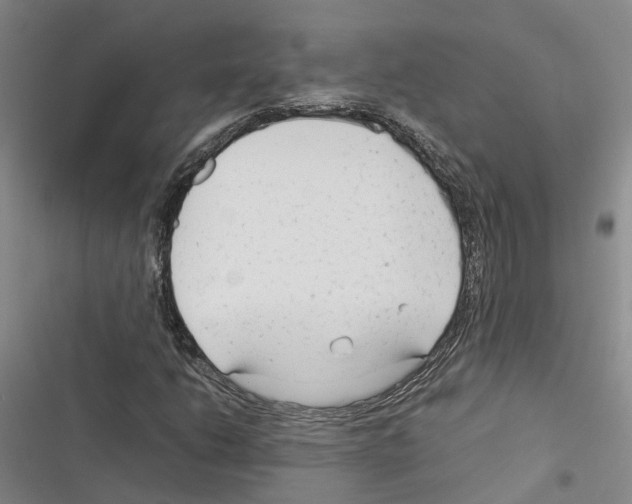 X0000116371206201001131740