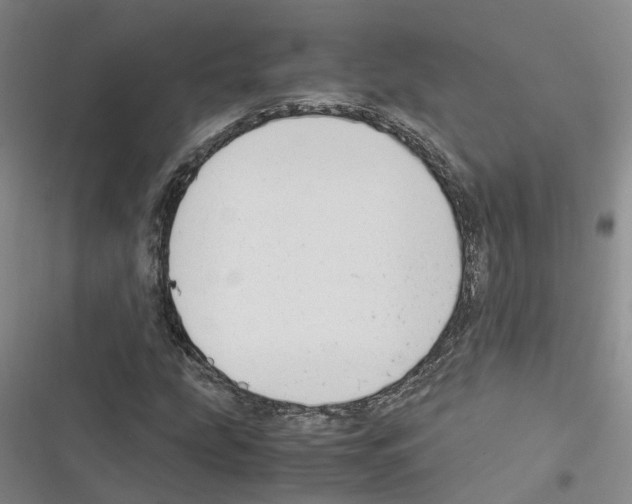 X0000116371207201001131740