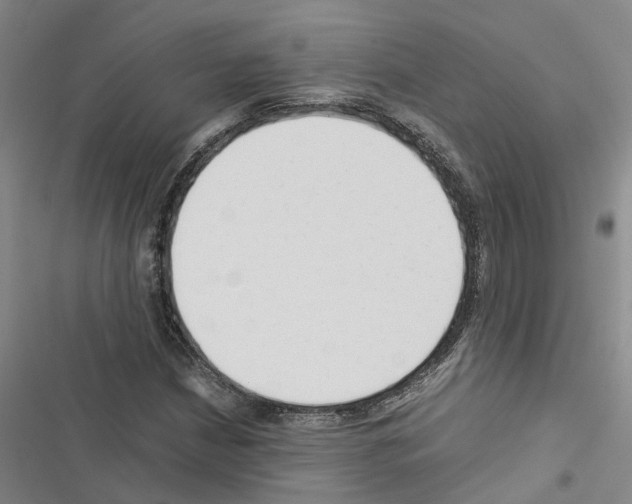 X0000116371210201001131740