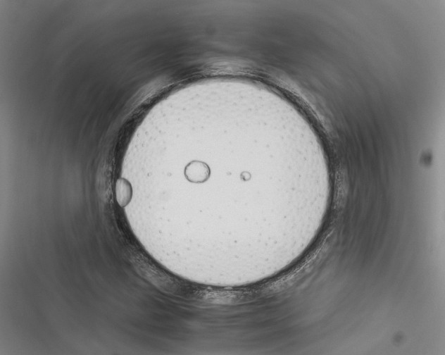 X0000116371211201001131740