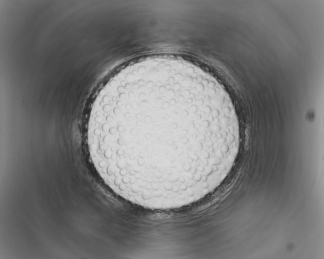 X0000116371212201001131740