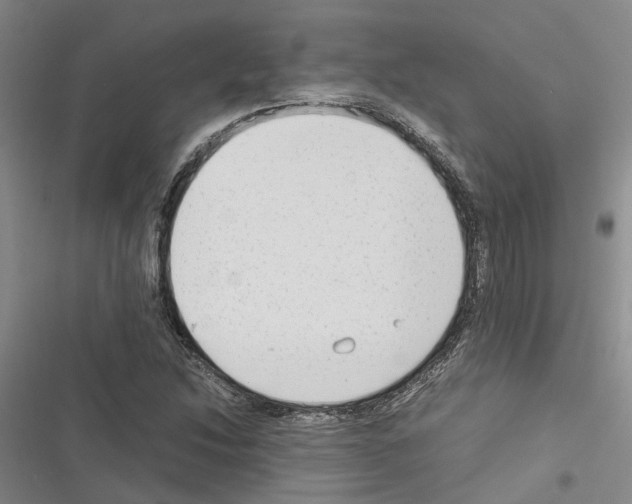 X0000116371214201001131740