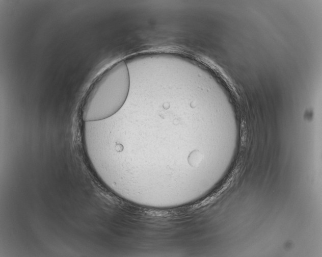 X0000116371215201001131740