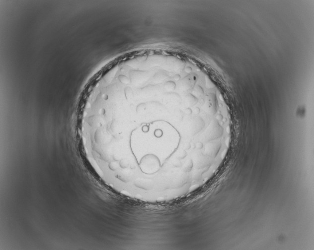 X0000116371216201001131740