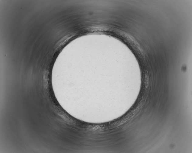 X0000116371217201001131740