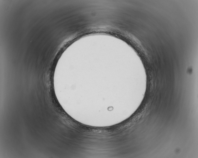 X0000116371218201001131740