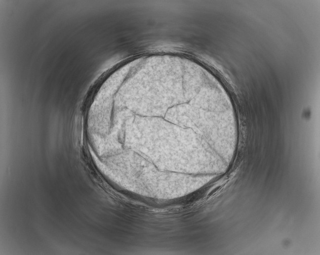 X0000116371219201001131740