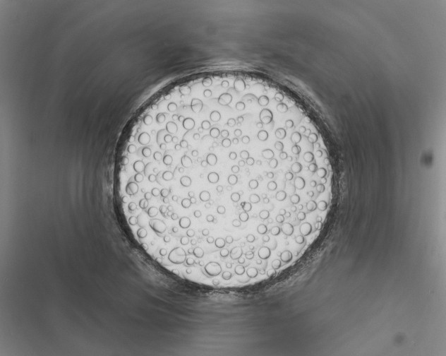 X0000116371220201001131740