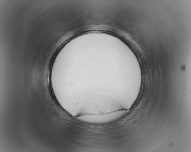 X0000116371221201001131740