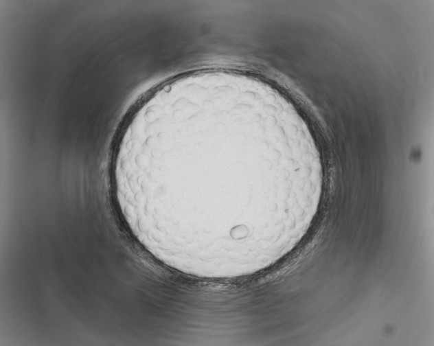 X0000116371222201001131740