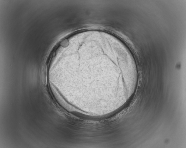 X0000116371223201001131740