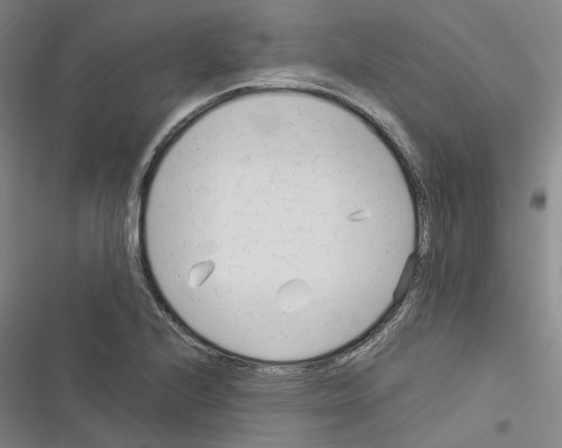 X0000116371224201001131740