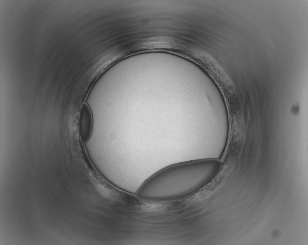 X0000116371225201001131740