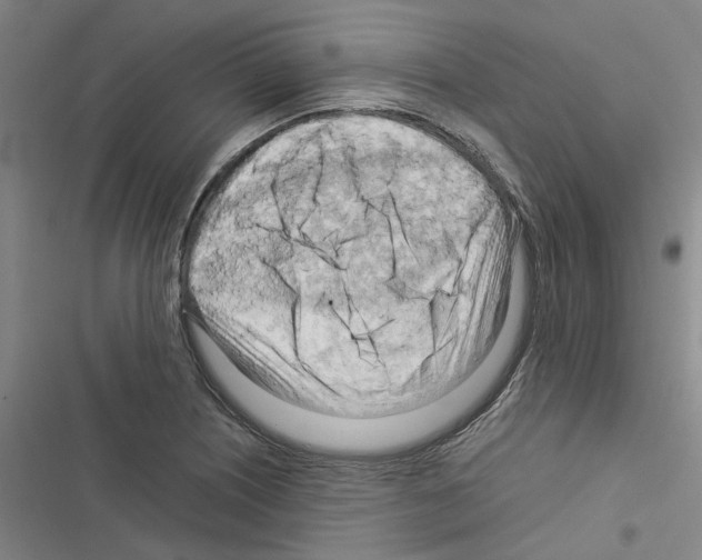 X0000116371226201001131740