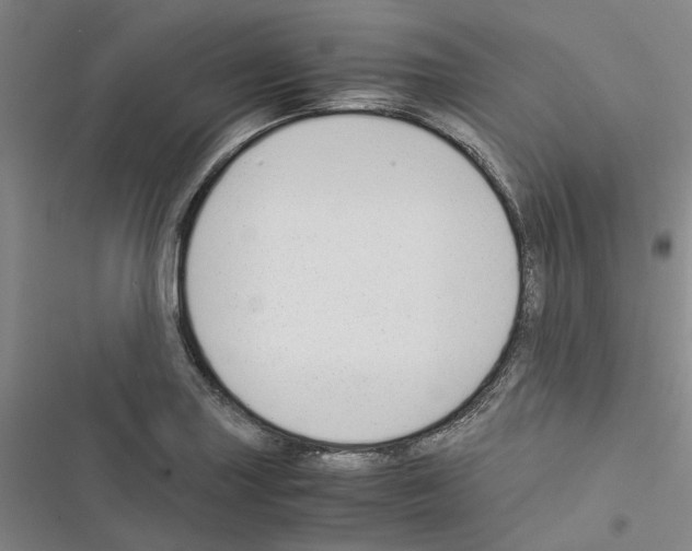 X0000116371227201001131740