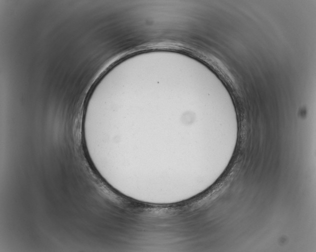 X0000116371228201001131740