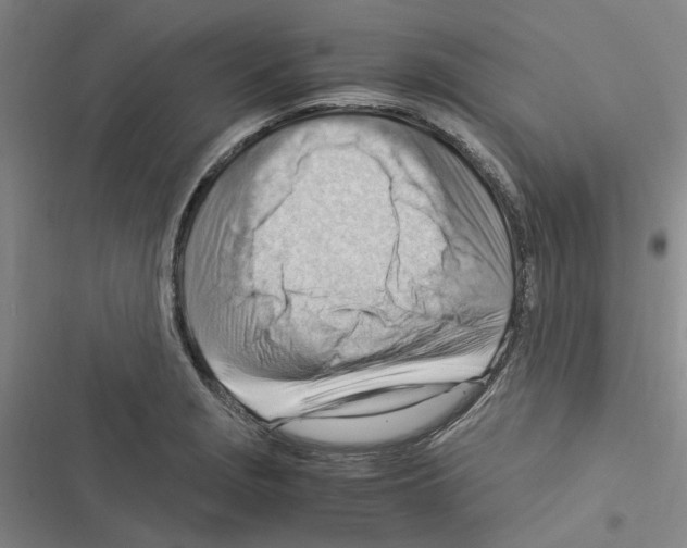 X0000116371229201001131741