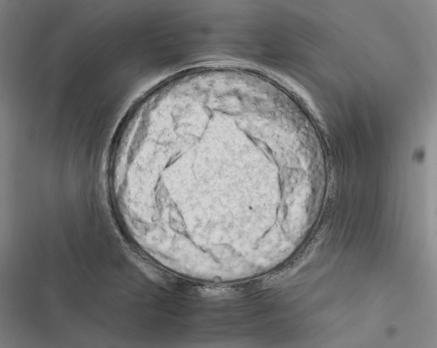 X0000116371231201001131741