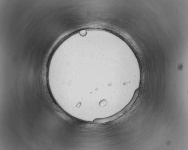 X0000116371232201001131741