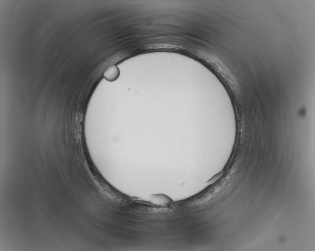 X0000116371233201001131741