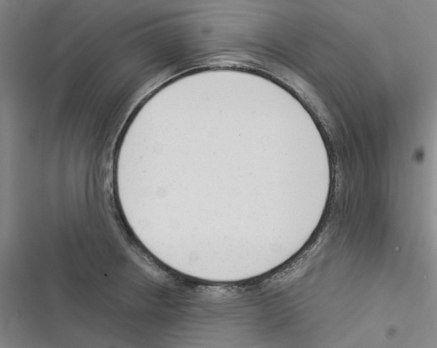 X0000116371234201001131741