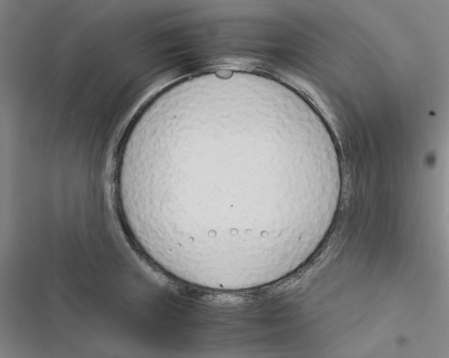 X0000116371235201001131741