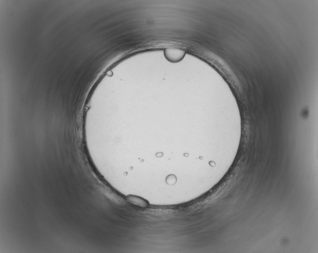 X0000116371236201001131741