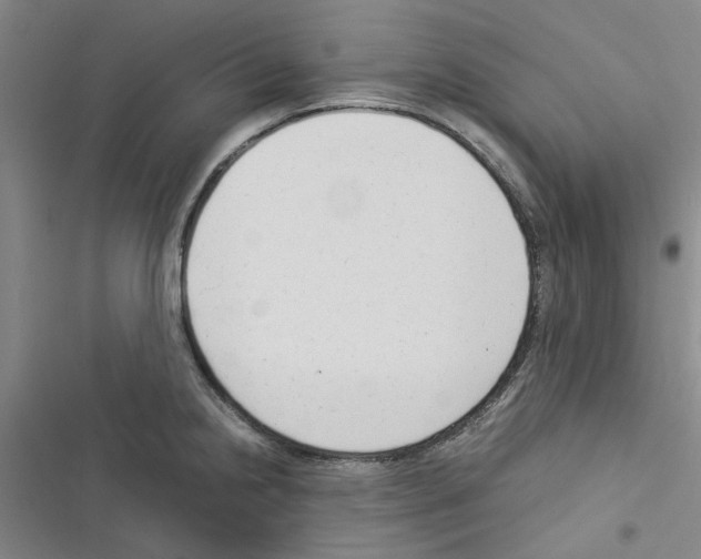 X0000116371238201001131741