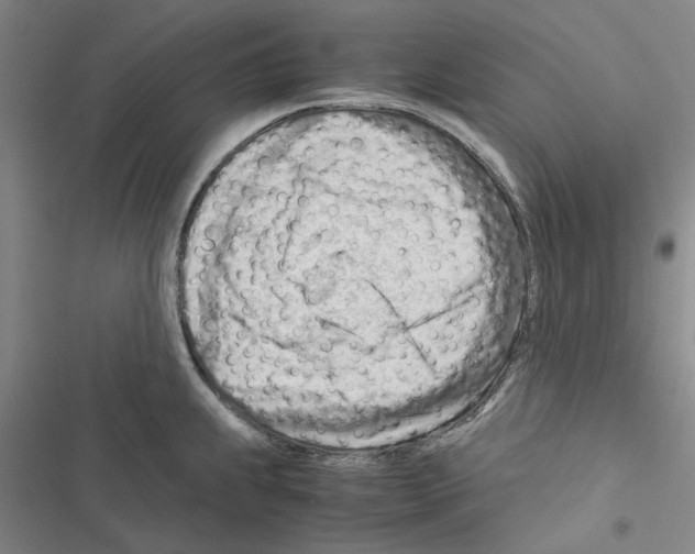 X0000116371239201001131741