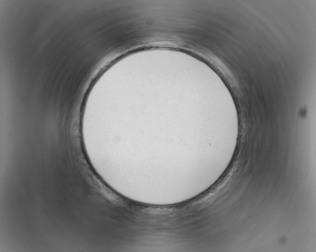 X0000116371240201001131741